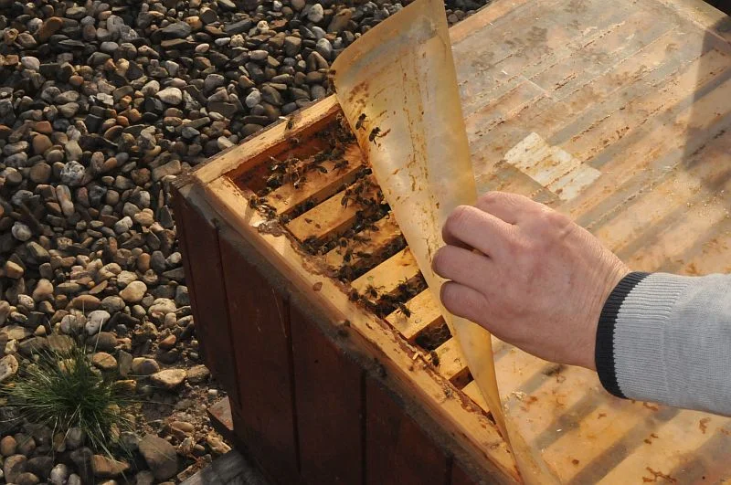 Střešní včelařství Střešní včelařství
