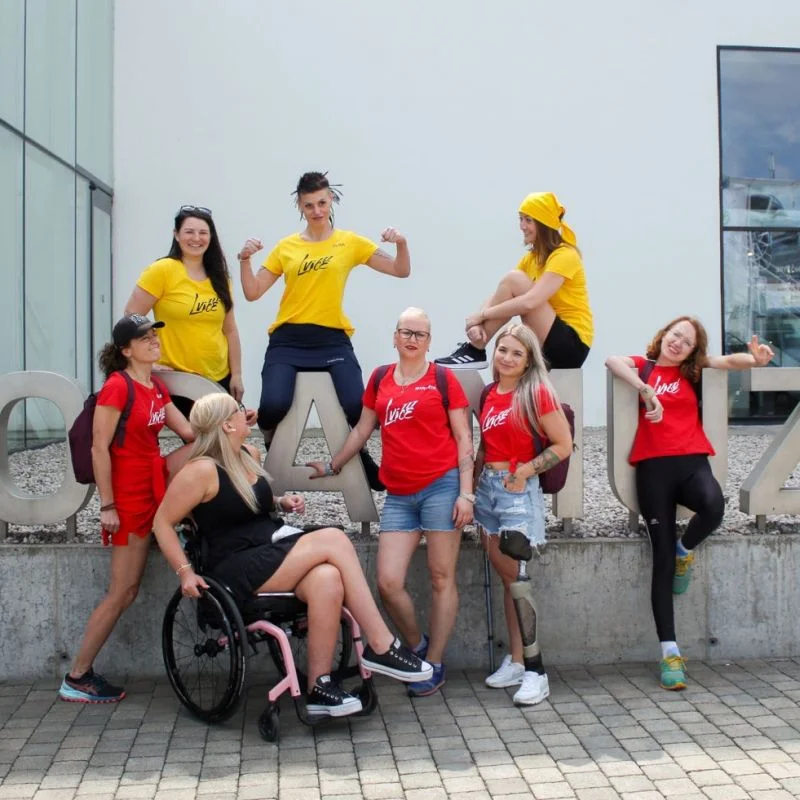 Projekt Lvice Projekt Lvice