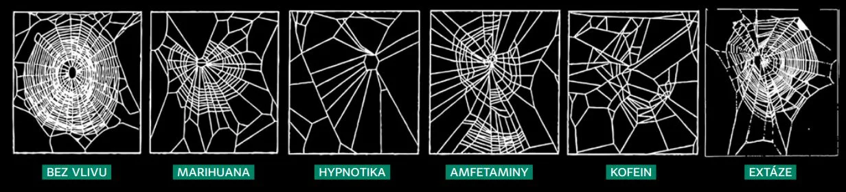 Pavučiny tkané pod vlivem drog