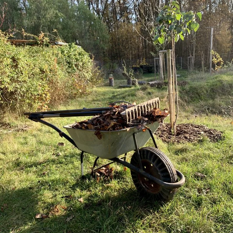 přírodní zahrady přírodní zahrady